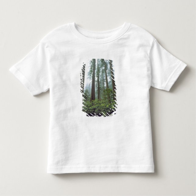Camiseta Infantil EUA, Califórnia, Redwood NP. O erro de registro fi (Frente)