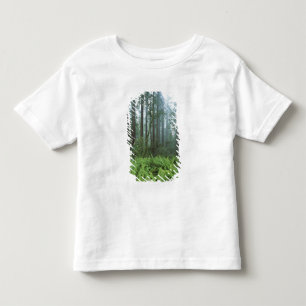 Camiseta Infantil EUA, Califórnia, Redwood NP. Samambaias e