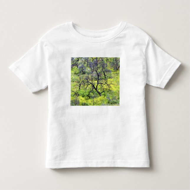 Camiseta Infantil EUA, Califórnia, San Diego. Uma floresta de carval (Frente)