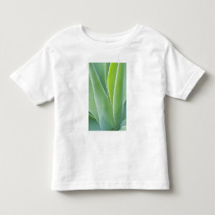 Camiseta Infantil EUA, Califórnia, San Francisco, Golden Gate