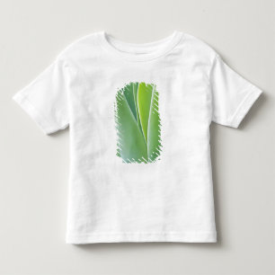 Camiseta Infantil EUA, Califórnia, San Francisco, Golden Gate