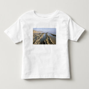 Camiseta Infantil EUA, Califórnia, Santa Barbara, Praia de Henry.