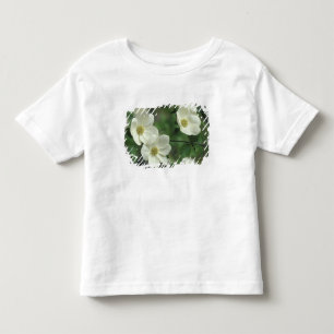 Camiseta Infantil EUA, Califórnia, Yosemite NP, ao longo do Merced