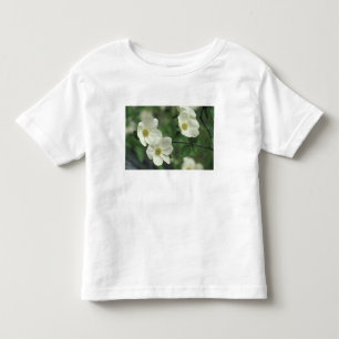 Camiseta Infantil EUA, Califórnia, Yosemite NP, ao longo do Merced