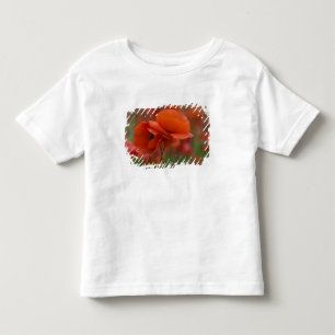 Camiseta Infantil EUA, Carolina do Norte. Duas papoulas vermelhas