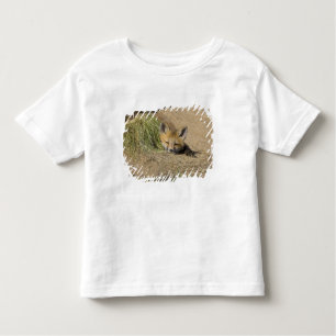 Camiseta Infantil EUA, Colorado, Breckenridge. Raposa vermelha alert