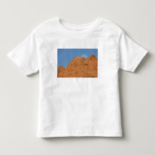 Camiseta Infantil EUA, Colorado, Colorado Springs, Jardim dos