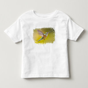 Camiseta Infantil EUA, Colorado, Condado de Summit, Heeney. Vista la