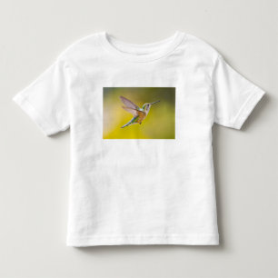 Camiseta Infantil EUA, Colorado, Condado de Summit, Heeney. Vista la