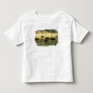 Camiseta Infantil EUA, Colorado, Lago Dillon. O início da manhã