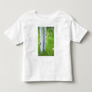 Camiseta Infantil EUA, Colorado, Lake City, Aspens e