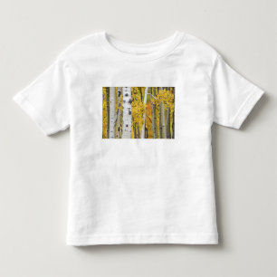 Camiseta Infantil EUA, Colorado, Montanhas Rochosas. Álamo íntimo