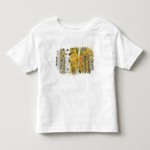 Camiseta Infantil EUA, Colorado, Montanhas Rochosas. Álamo íntimo