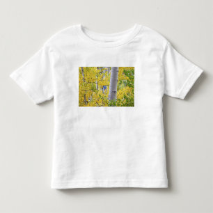 Camiseta Infantil EUA, Colorado, Montanhas Rochosas. Intimo álamo 2