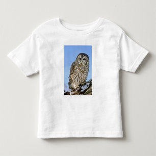 Camiseta Infantil EUA, Colorado. Retrato de coruja-barreada empoleir