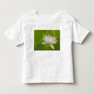 Camiseta Infantil EUA, DC, Washington, Kenilworth Aquatic