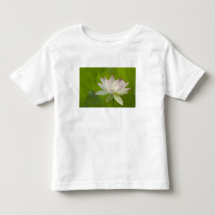 Camiseta Infantil EUA, DC, Washington, Kenilworth Aquático