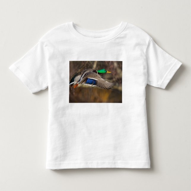 Camiseta Infantil EUA, Estado de Washington, Mallard, homem, voo. (Frente)