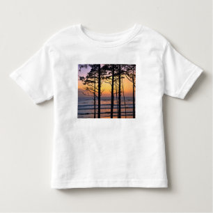 Camiseta Infantil EUA, Estado de Washington, Olimpiadas NP. Delicado