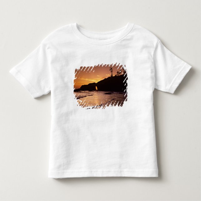 Camiseta Infantil EUA, Estado de Washington, Parque Nacional Olimpia (Frente)