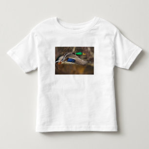 Camiseta Infantil EUA, Estado de Washington, Pato-real, macho, voo.