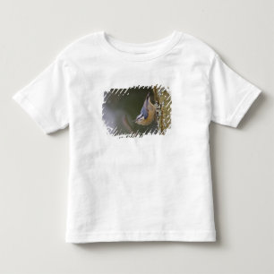 Camiseta Infantil EUA, Estado de Washington, Trepador-de-peito-verme
