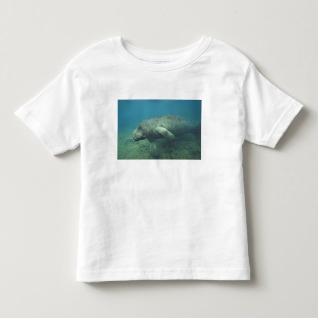 Camiseta Infantil EUA, FL, Manatee (Frente)