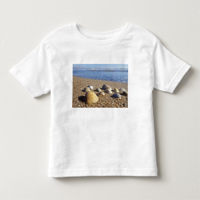 Camiseta Infantil EUA, Flórida, Conchas do Mar Costeiro (Frente)