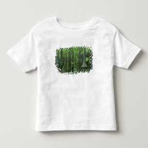 Camiseta Infantil EUA, Flórida, Floresta Nacional de Apalachicola, 