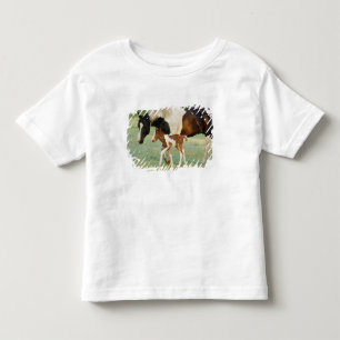 Camiseta Infantil EUA, Flórida, Potra Paint recém-nascida