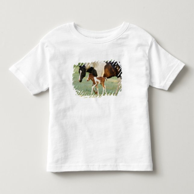 Camiseta Infantil EUA, Flórida, Potra Paint recém-nascida (Frente)