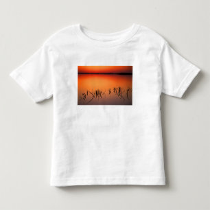 Camiseta Infantil EUA, Flórida. Silhuetas de galhos de árvores morta