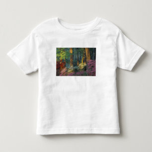 Camiseta Infantil EUA, Geórgia, Callaway Gardens, floresta de Azaléi
