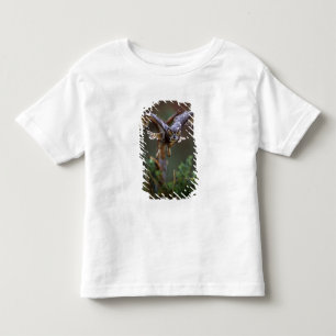 Camiseta Infantil EUA, Geórgia, Pine Mountain, Callaway Gardens.