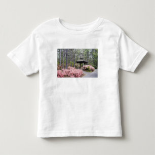Camiseta Infantil EUA, Geórgia, Pine Mountain. Um gazebo entre