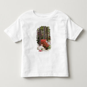 Camiseta Infantil EUA, Geórgia, Pine Mountain. Uma floresta de