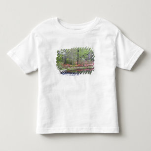Camiseta Infantil EUA, Geórgia, Pine Mountain. Uma pequena cascata