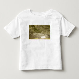 Camiseta Infantil EUA, Geórgia, Savannah, um carro de carvalho