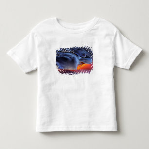 Camiseta Infantil EUA, Havaí, Big Island, Kilauea, Parque Nacional d