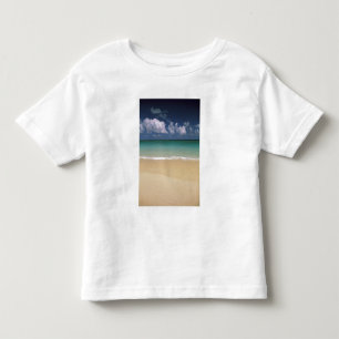 Camiseta Infantil EUA, Havaí. Cena de praia