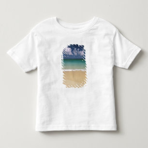 Camiseta Infantil EUA, Havaí. Cena de praia