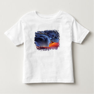 Camiseta Infantil EUA, Havaí, Ilha Grande, Kilauea, Vulcanoes NP,