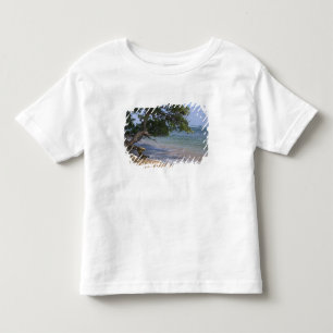 Camiseta Infantil EUA, Havaí, Kauai, cena de praia. RF)