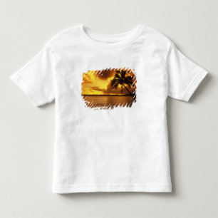 Camiseta Infantil EUA, Havaí, Kauai, Colorido nascer do sol em um
