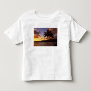 Camiseta Infantil EUA, Havaí, Kauai, Colorido nascer do sol em um 2