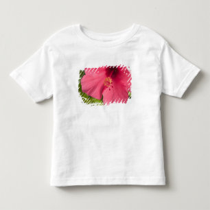 Camiseta Infantil EUA, Havaí, Kauai, Hibisco