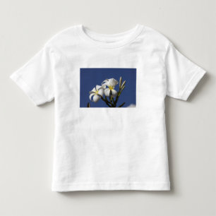Camiseta Infantil EUA, Havaí, Kauai, plumeria branca.