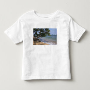 Camiseta Infantil EUA, Havaí, Kauai, praia cênica. RF)