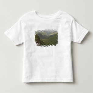 Camiseta Infantil EUA, Havaí, Kauai, Vista geral do Canyon. (RF)