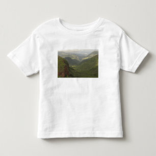 Camiseta Infantil EUA, Havaí, Kauai, Vista geral do Canyon. (RF)